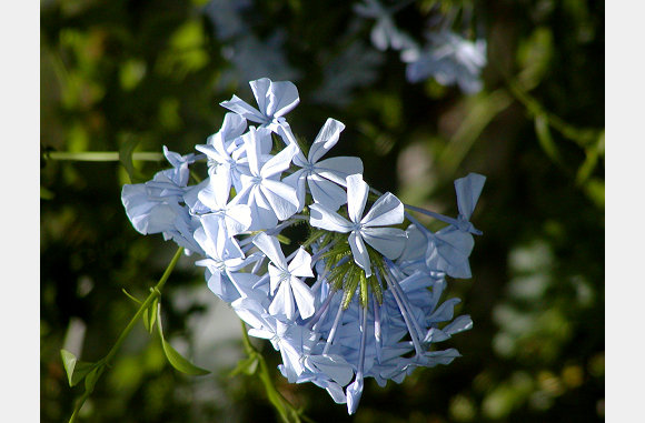 P6300043