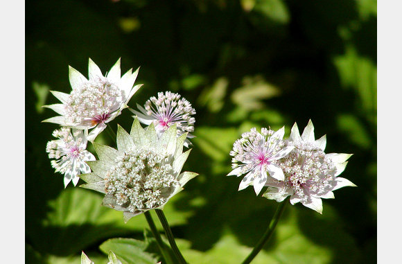 P6300053