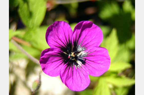 P6300054