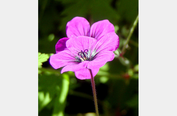 P6300055