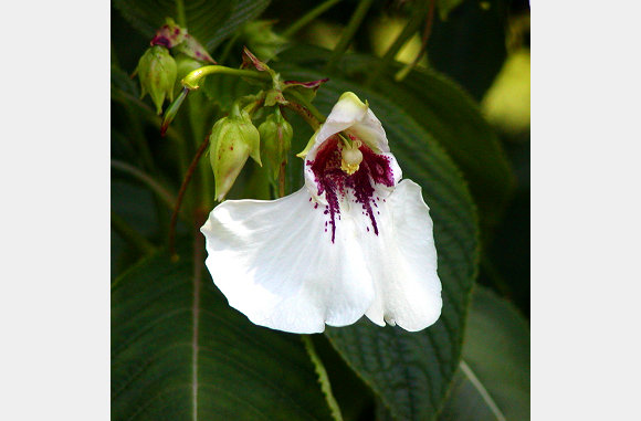 P6300057