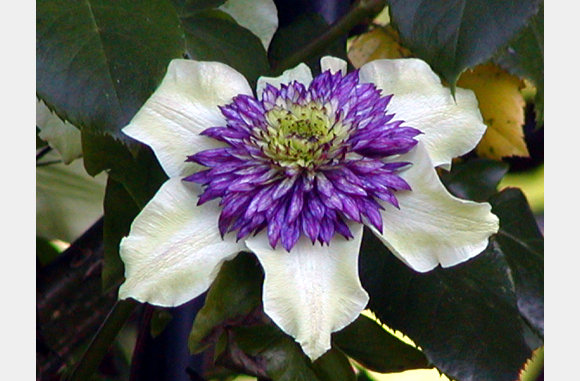 P6300060