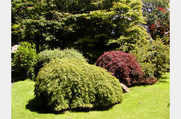 P6300068