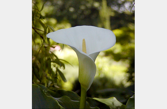 P6300078