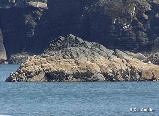Penbryn 3