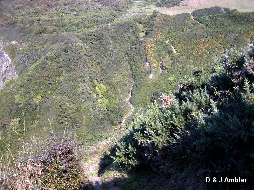 Penbryn path 3