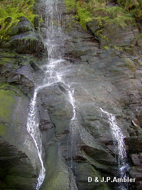 Tresaith 11