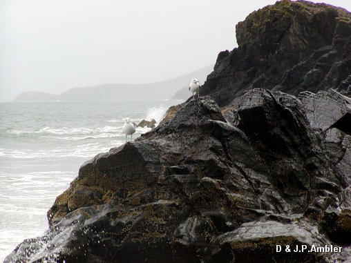 Tresaith 1