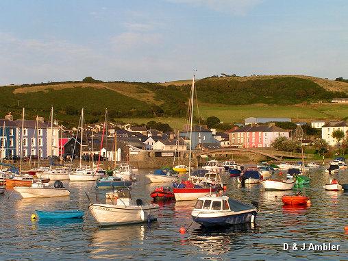 Harbour evening sun  ab33