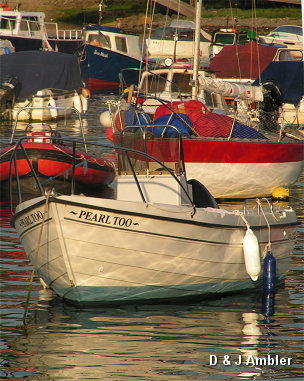 Pearl Too   ab36