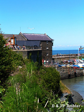Yacht Club01   NQ7