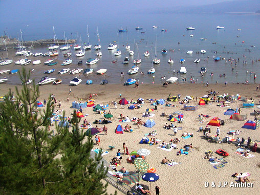 beach in summer01   NQ29