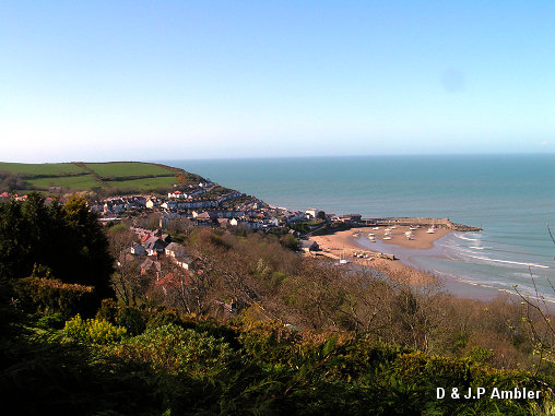 New Quay high view  NQ2