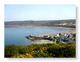 New Quay from coastal path   NQ3