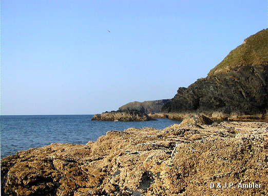 Llangrannog beach 0