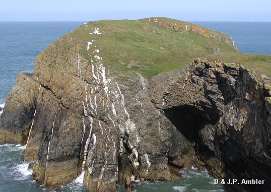 Ynys Lochtyn 04