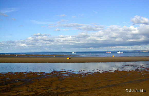 Bay Low tide