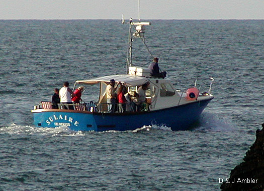 sulaire at sea