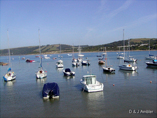 sunny harbour 2