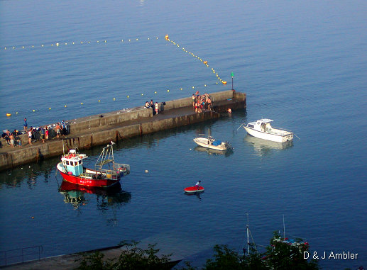 sunny harbour 10