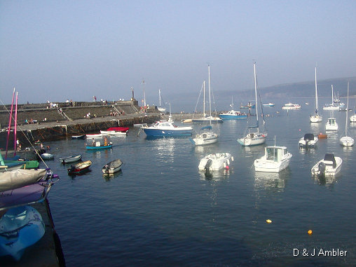 sunny harbour 6