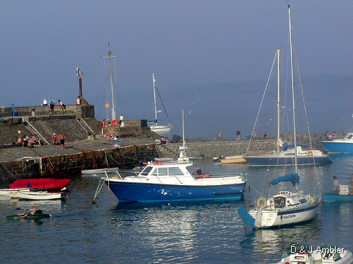 sunny harbour 5