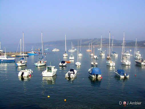 sunny harbour 7