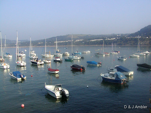 sunny harbour 8