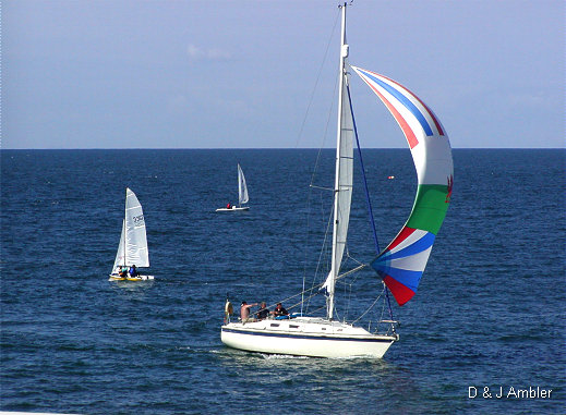 Regatta 2003 10