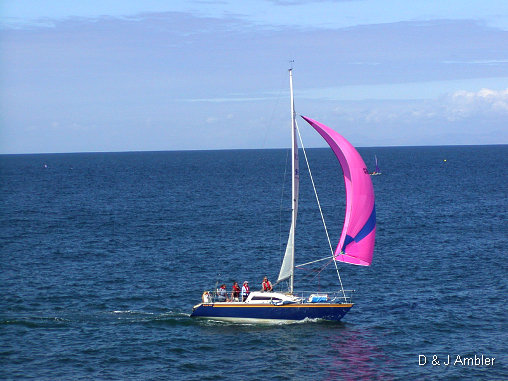 Regatta 2003 8
