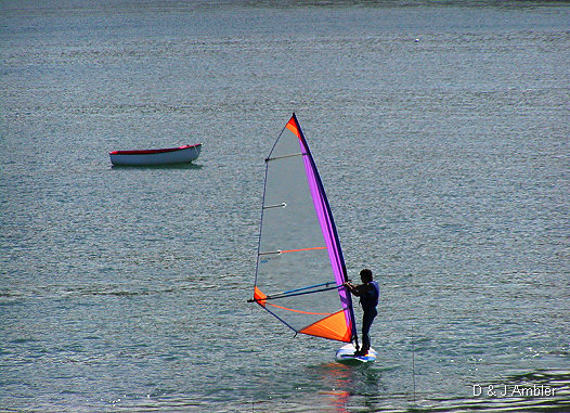 Regatta 2003 1
