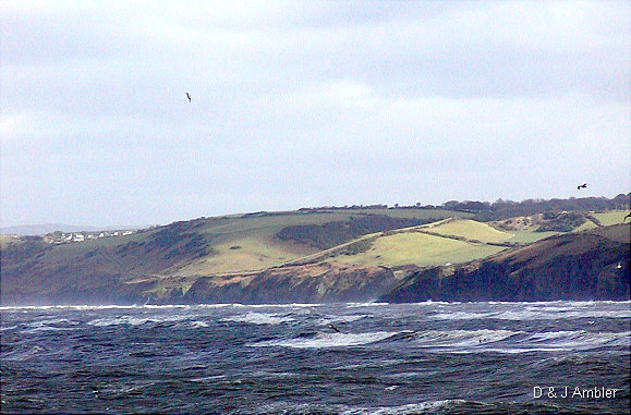 New quay oct storm 9