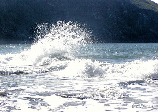 Mwnt 2