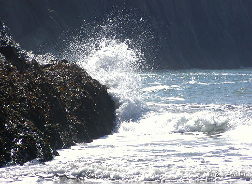 Mwnt 4