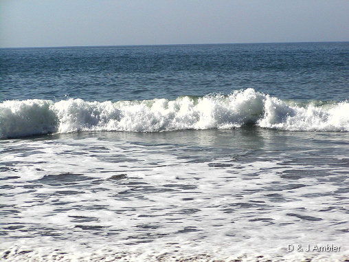 Mwnt 5