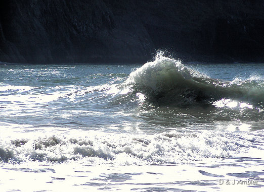 Mwnt 8