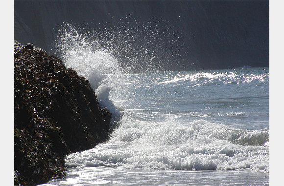 Mwnt surf 7