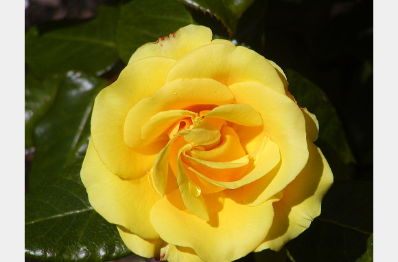 P6300084