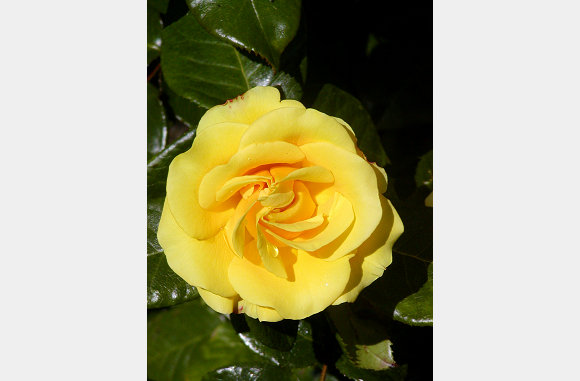 P6300085