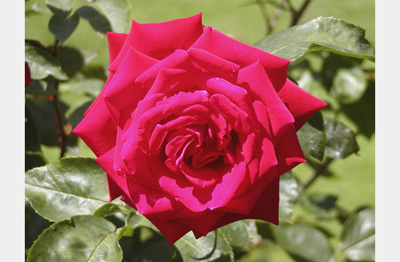 P6300087