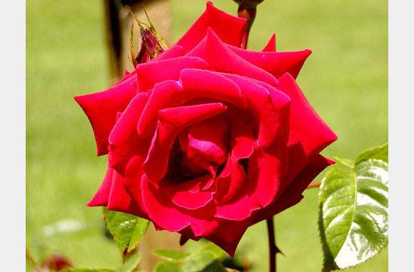 P6300088