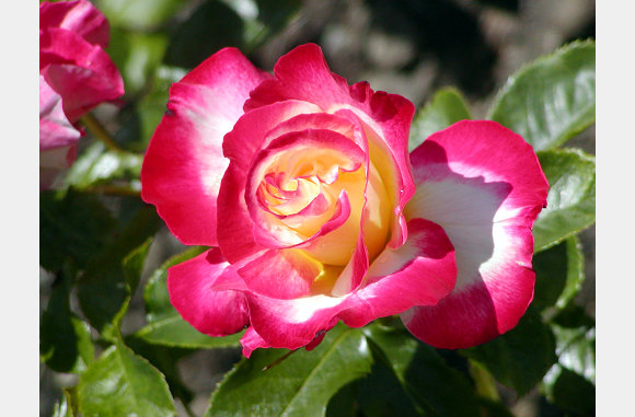 P6300090