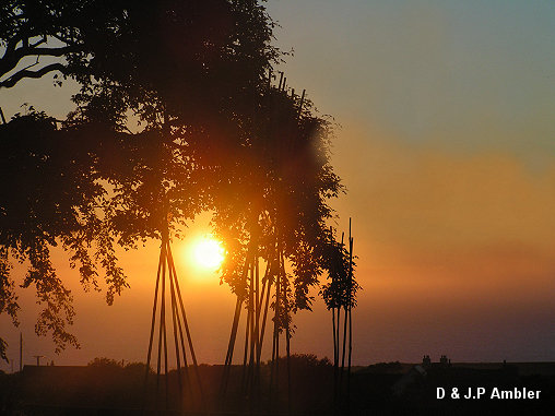 June Sunsets 025