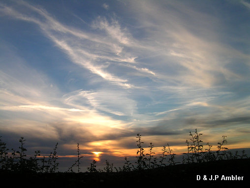 June Sunsets 021