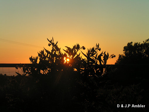 June Sunsets 005