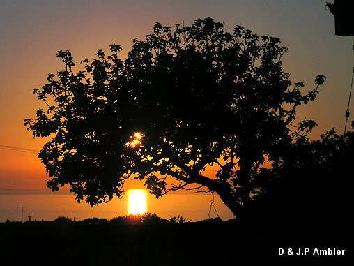 June Sunsets 001