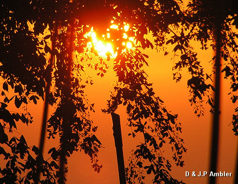 June Sunsets 006