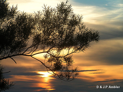June Sunsets 020