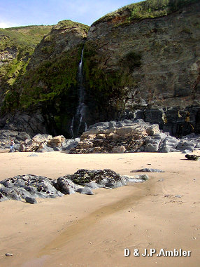 Tresaith 8