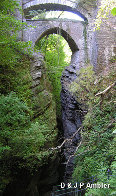 Devil's Bridge DB10
